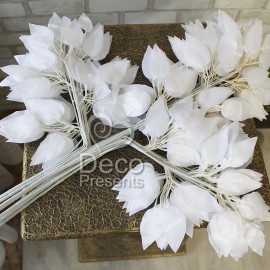 Ветки с белыми листьями фикуса для декора