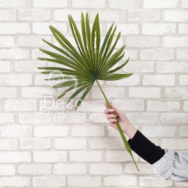 Декоративный лист веерной пальмы мелкий