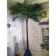 Пальма декоративная прямая высотой 3 метра