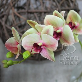 Декоративная ветка с цветами Орхидеи № 09