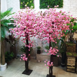 Два розовых дерева высотой 190 см