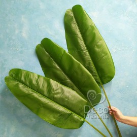 Большие листья банановой пальмы декоративные