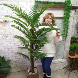 Декоративный пальмовый куст высотой 160-180 см