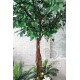 Декоративное дерево Фикус 2,4 м