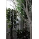 Декор дерево №02 з білих гілок із підвісками