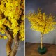 Декоративне дерево із жовтих квітів