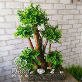 Бонсай №25 настольное декоративное самшитовое дерево