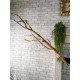 Гілки дерева для декору інтер'єру, підвісний декор на стіну