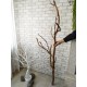 Гілки дерева для декору інтер'єру, підвісний декор на стіну