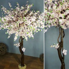 Сакура Розовая декоративное дерево высота 1,9 м