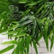 Ветка с листьями бамбука №21 или ивы