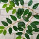 Гілки штучні №012 фруктове зелене листя