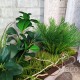Штучна рослина в горщику №2011 пальмовий кущ