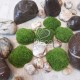 Камені зі штучного моху, мох для декору