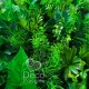 Вертикальное озеленение зеленые фито-стены