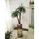 Декоративна пальма подвійна висотою 125 см
