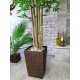 Декоративный куст бамбука №12 высотой 2 метра