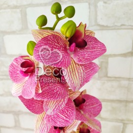 Гілка зі штучними квітами Орхідеї №44