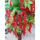 Гліцинія, Вістерія, дерево з червоних квітів