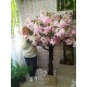 Сакура 2 метри декоративне дерево із квітів