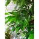 Фикус из зеленых листьев, дерево высотой 200 см