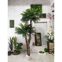 Пальма двойная декоративная высотой 2 метра