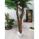 Пальма двойная декоративная высотой 2 метра