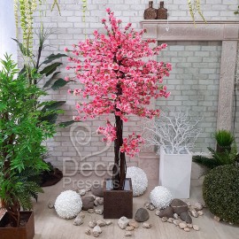 Сакура рожева декоративне дерево заввишки 165 см