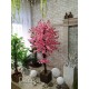 Сакура рожева декоративне дерево заввишки 165 см
