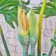 Искусственное растение «Пальма с цветами»