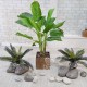 Искусственное растение «Маленький куст филодендрона»