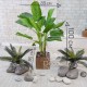 Искусственное растение «Маленький куст филодендрона»