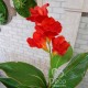 Искусственное растение с красными цветами