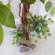Искусственное растение «Фикус» 180 см