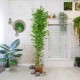 Штучна рослина «Бамбук» 220 см