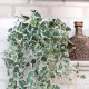 Штучна рослина «Ампельний плющ» 75 см