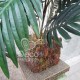 Штучна рослина «Кущ з пальмового листя»