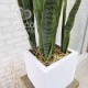 Искусственное растение «Сансевиерия» 70 см