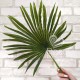 Декоративный лист веерной пальмы мелкий