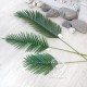 Декоративне листя фінікової пальми
