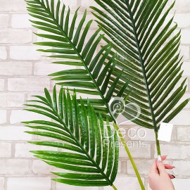 Декоративные листья финиковой пальмы