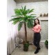 Пальма декоративна фінікова висота 2 метри