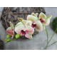 Декоративная ветка с цветами Орхидеи № 09