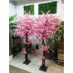 Два розовых дерева высотой 190 см
