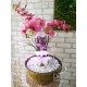 Кімнатний фонтан з квітами орхідеї.