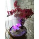 Комнатный фонтан с цветами Орхидеи