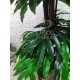 Декоративное дерево №33 из листьев мангового дерева