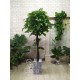 Фикус декоративное дерево 180 см в вазоне