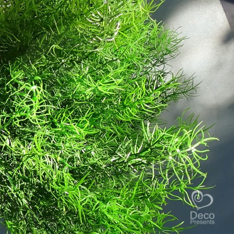 Декоративная искусственная трава Аспарагус