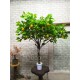 Дерево лимонное декоративное с плодами лимона 100 см
